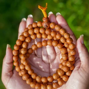 Mala Semilla de bodhi