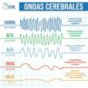 5 ondas cerebrales