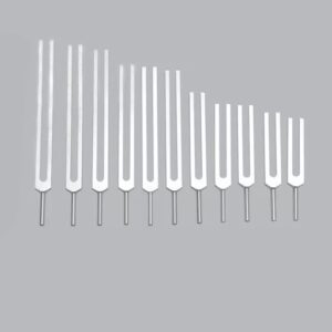 Set de 11 Diapasones Octava Cósmica Planetaria