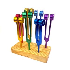 expositor 7diapasones1